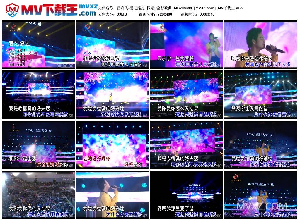 雷启飞-爱过痛过_国语_流行歌曲_MB208388